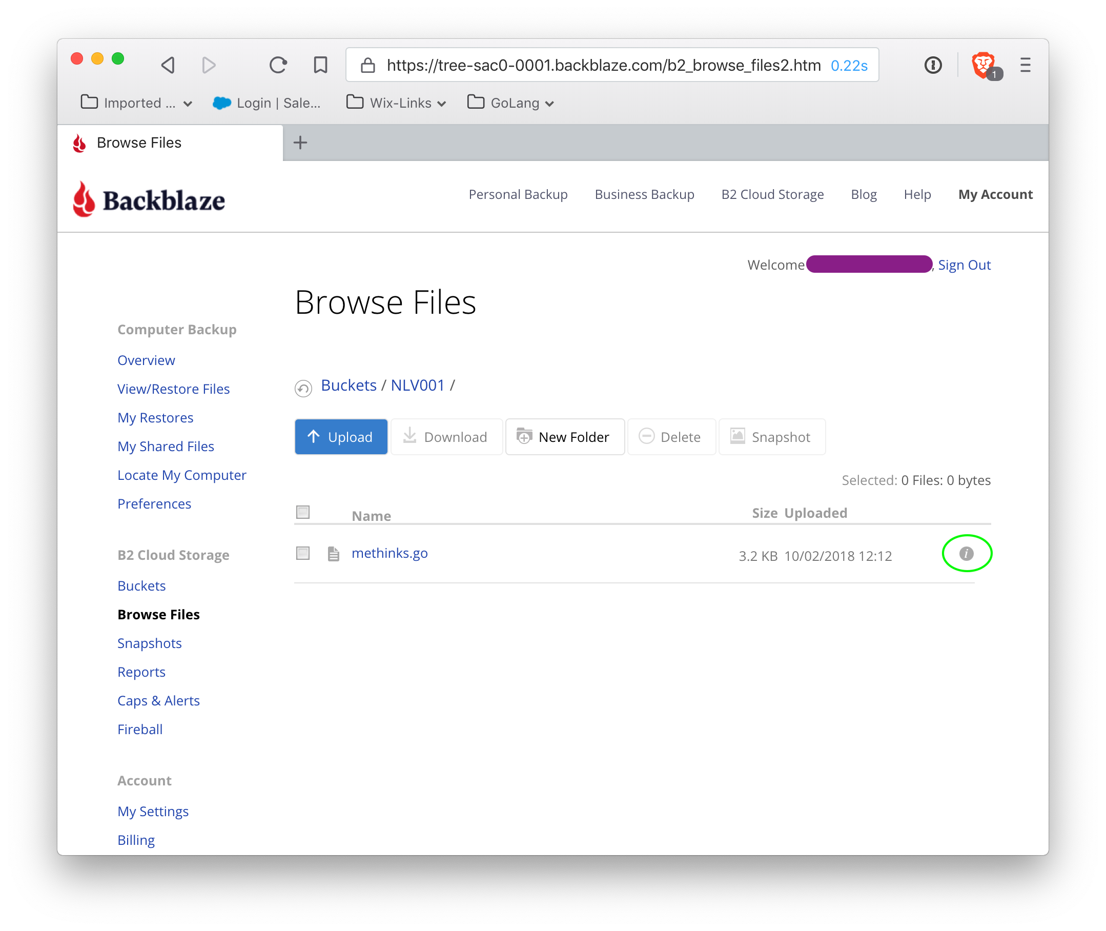 Backblaze cloud backup interface showing file browser view with upload, download, and snapshot options.