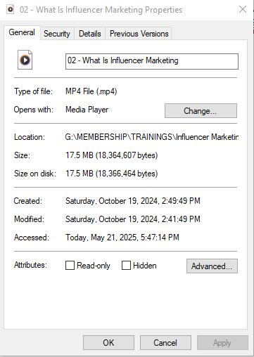 File Format properties for MP4 video file showing file size, timestamps, and software compatibility