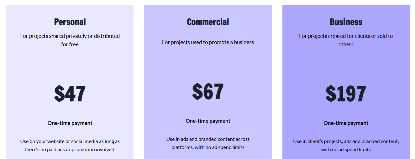 Pricing tiers for Flexible Usage Rights showing personal, commercial, and business licenses with one-time payments.