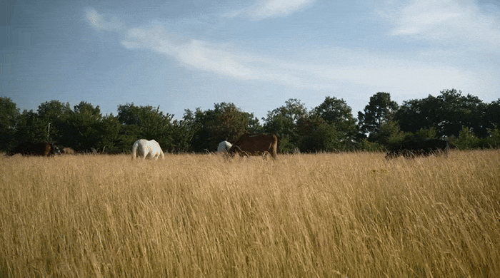Gif by auguste