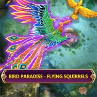 Bird Paradise