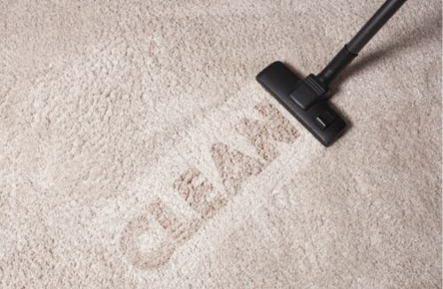 Non Toxic Carpet Cleaning Brisbane