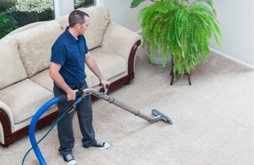 Pest Control And Carpet Cleaning Brisbane