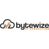 Bytewize IT Consulting logo