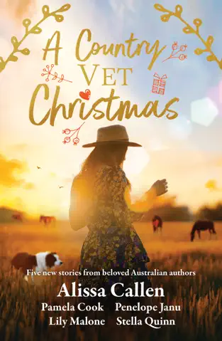 A Country Vet Christmas