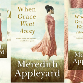 New Release – When Grace Went Away by Meredith Appleyard