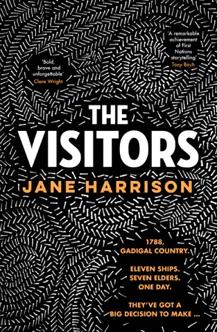 The Visitors The Visitors
