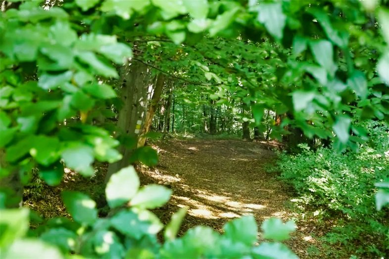 Attractions & Landmarks In Klosterneuburg 10 Eichenhain Nature Park - Klosterneuburg, Austria Travel Guide