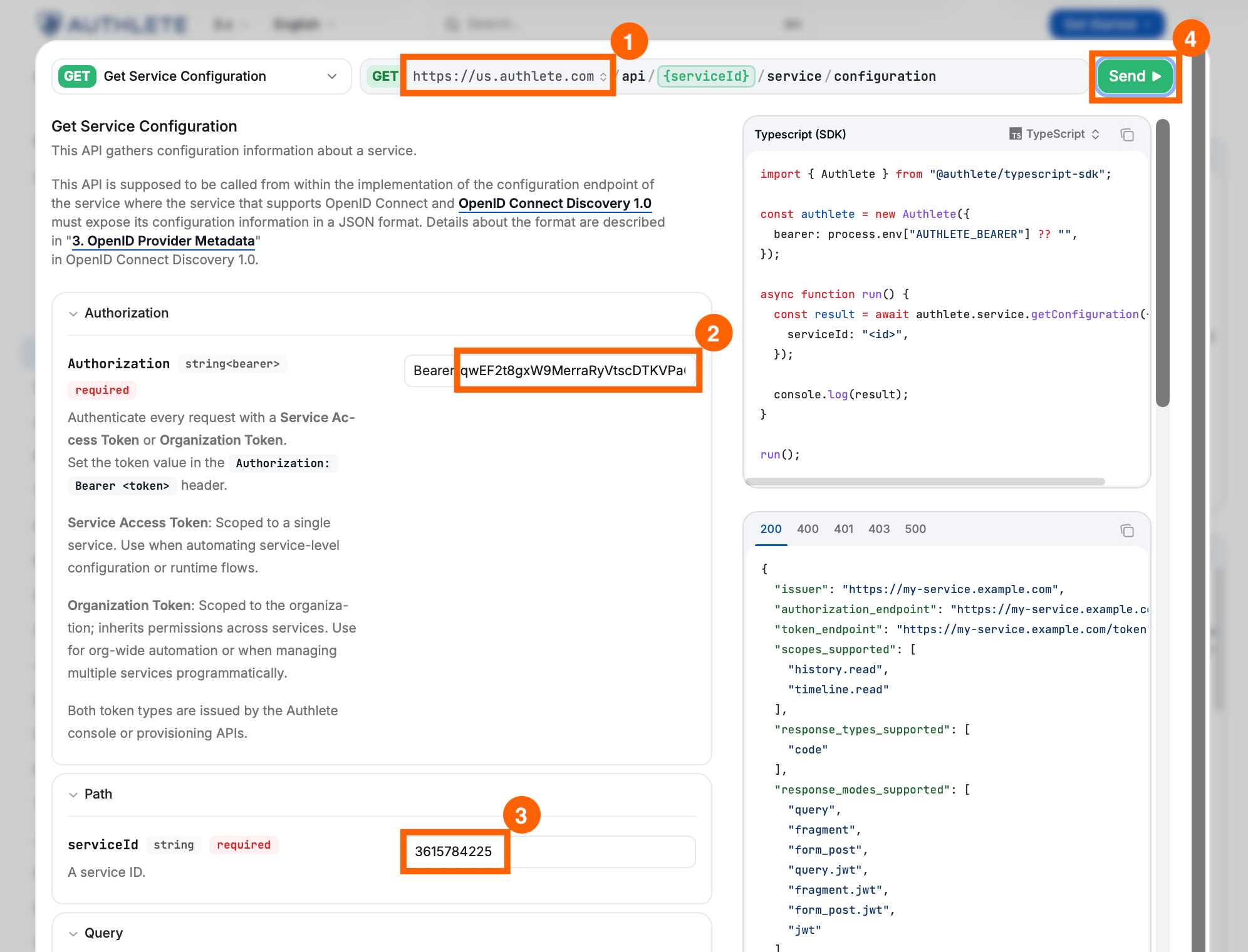 API Explorer form with input fields for Service ID and Service Access Token, and a blue Send button to execute the API request