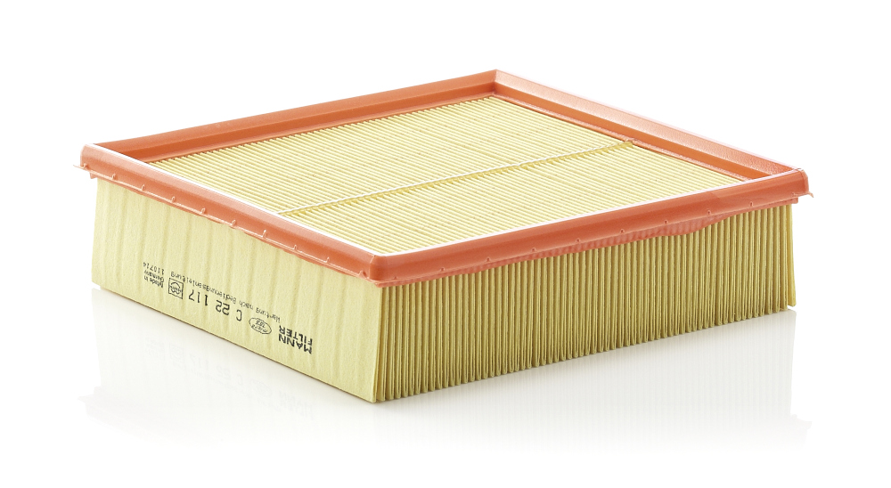 MANN-FILTER C 25 117 - Filtro Aria Auto - Dimensioni 246x169x69 Mm - Ricambio Di Qualità - 2