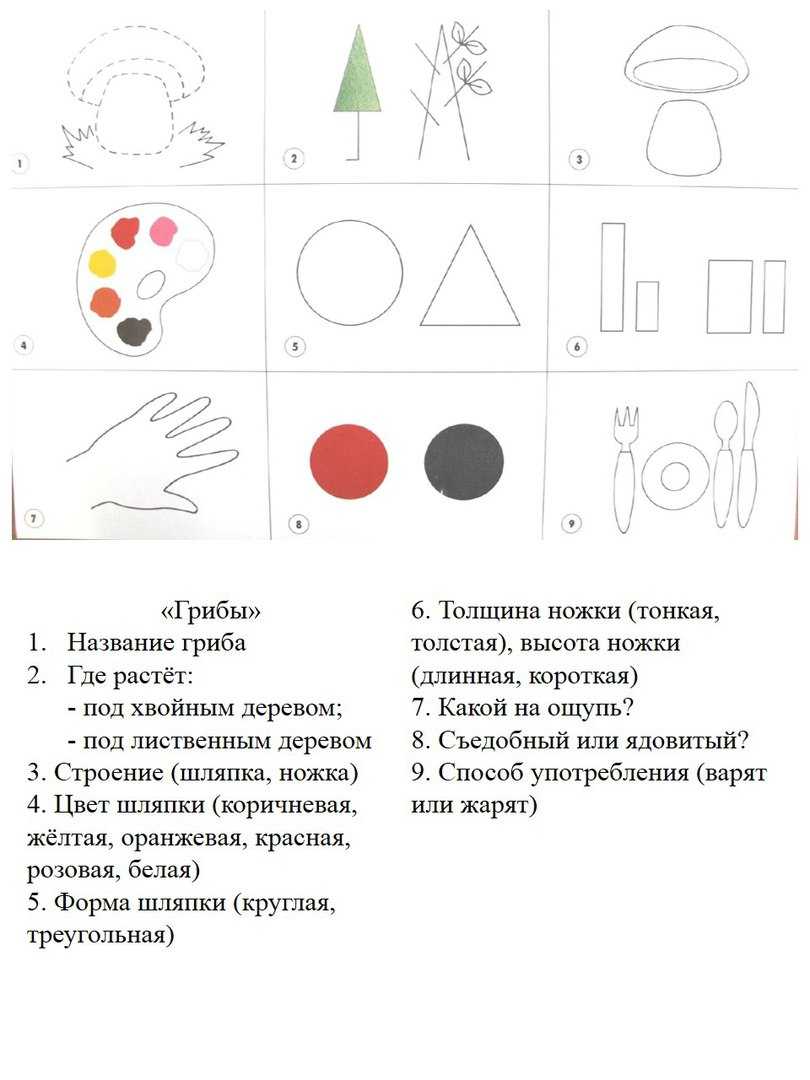 Схема для описательного рассказа насекомые