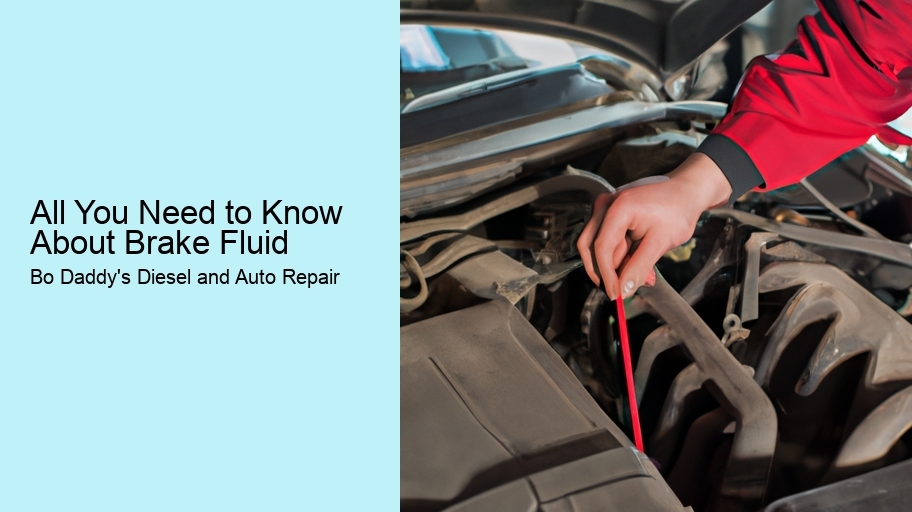All You Need to Know About Brake Fluid  