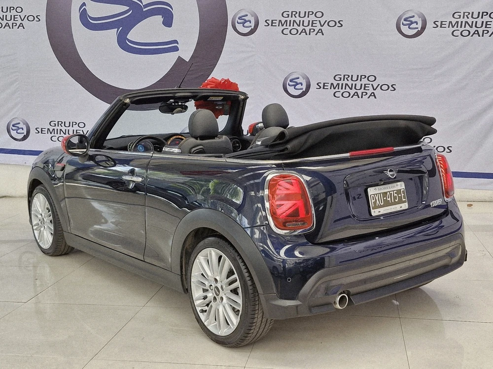 Miniatura 19
