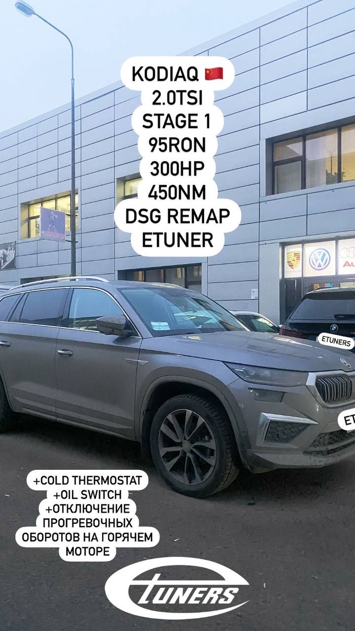 Kodiaq 2.0 TSI Stage 1: Increase in power and torque