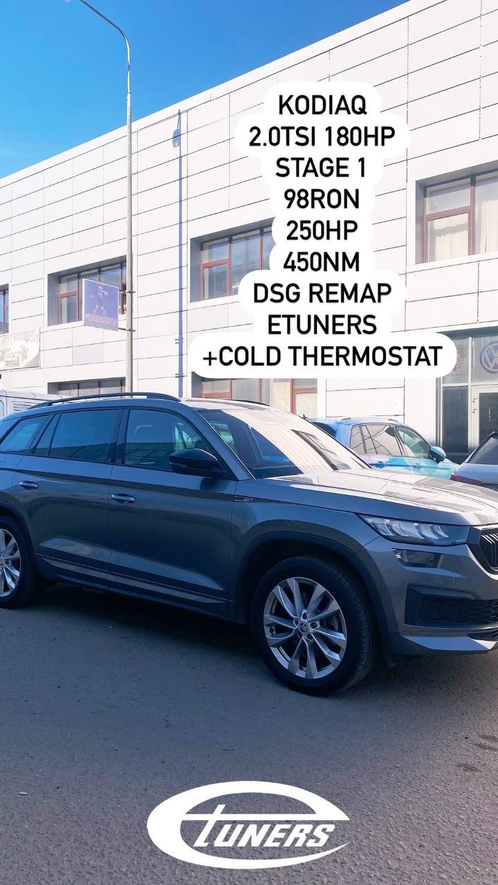 Skoda Kodiaq 2.0 TSI Stage 1: +20 hp and +30 Nm