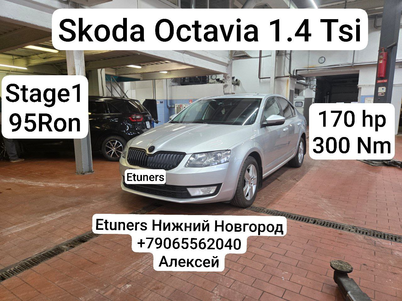Skoda Octavia 1.4 CHPA Stage 1: +20 hp and +30 Nm