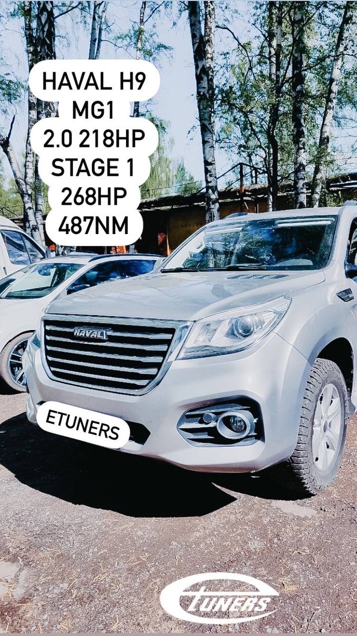 HAVAL H9 Stage 1: maximum power on 95 RON gasoline