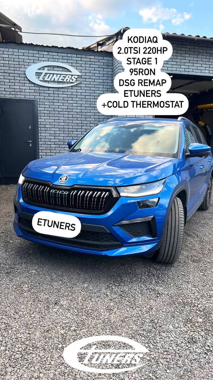 Kodiaq 2.0 TSI Stage 1: +30 hp for your SUV
