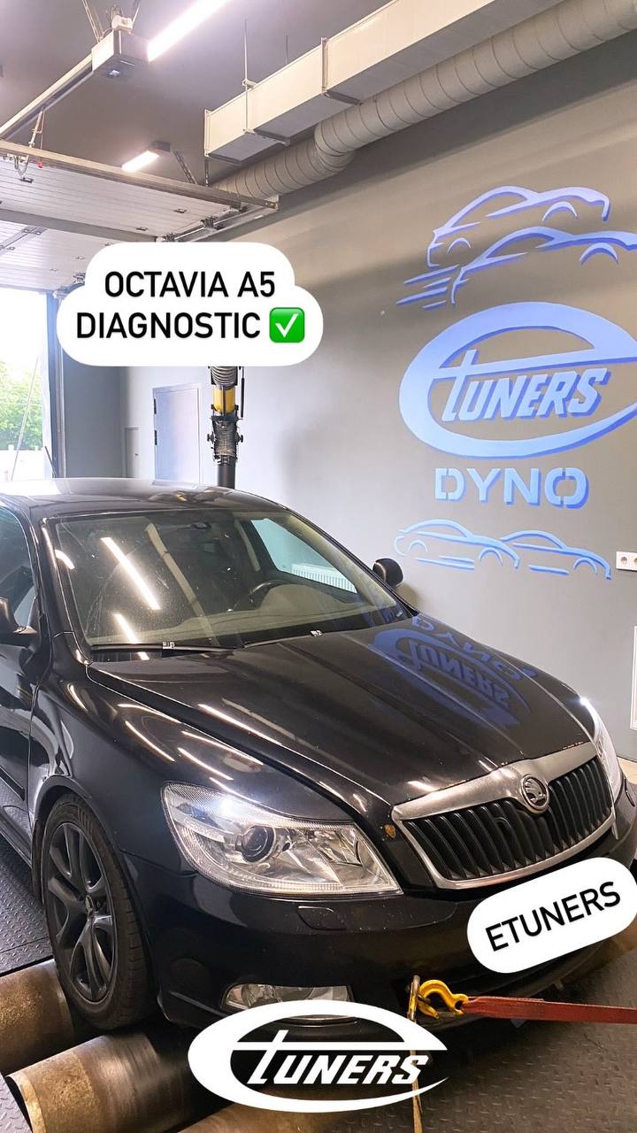 Octavia A5 diagnostics: find out the power of your car!