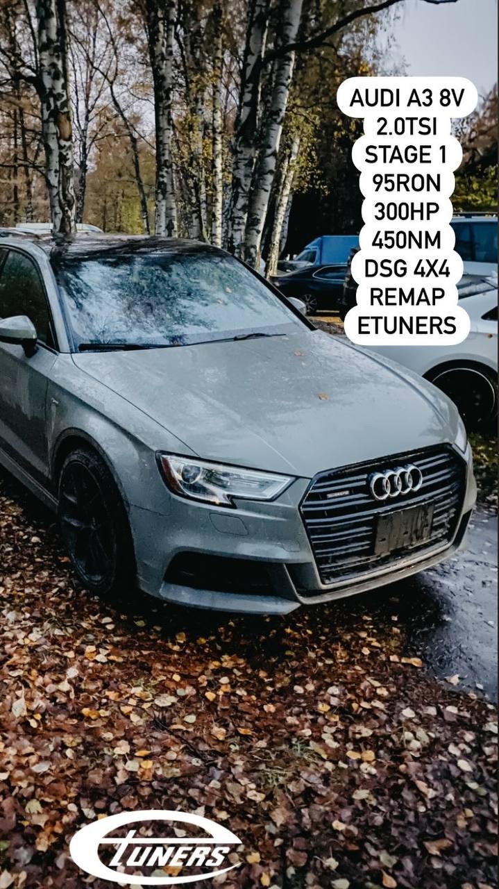 Audi A3 8V 2.0 TSI Stage 1: Increase in power and torque