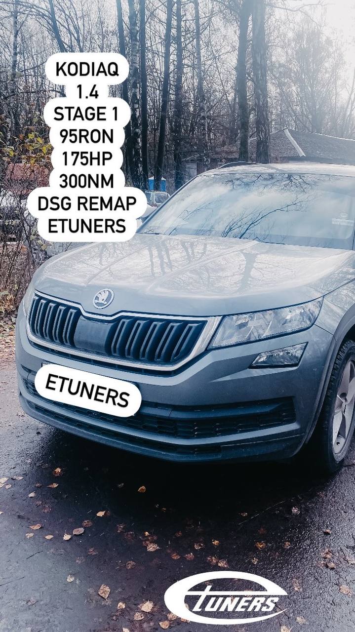 Škoda Kodiaq 1.4 Stage 1: Increase in power and torque