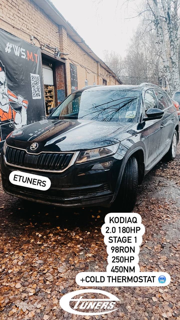Kodiaq 2.0 180 hp Stage 1: power at maximum!