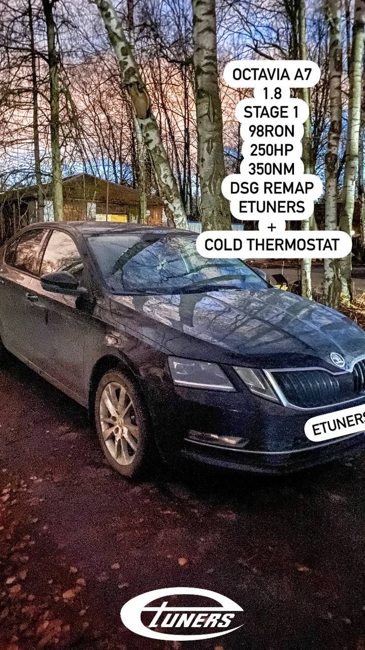Škoda Octavia A7 1.8 Stage 1: Increase in power and torque