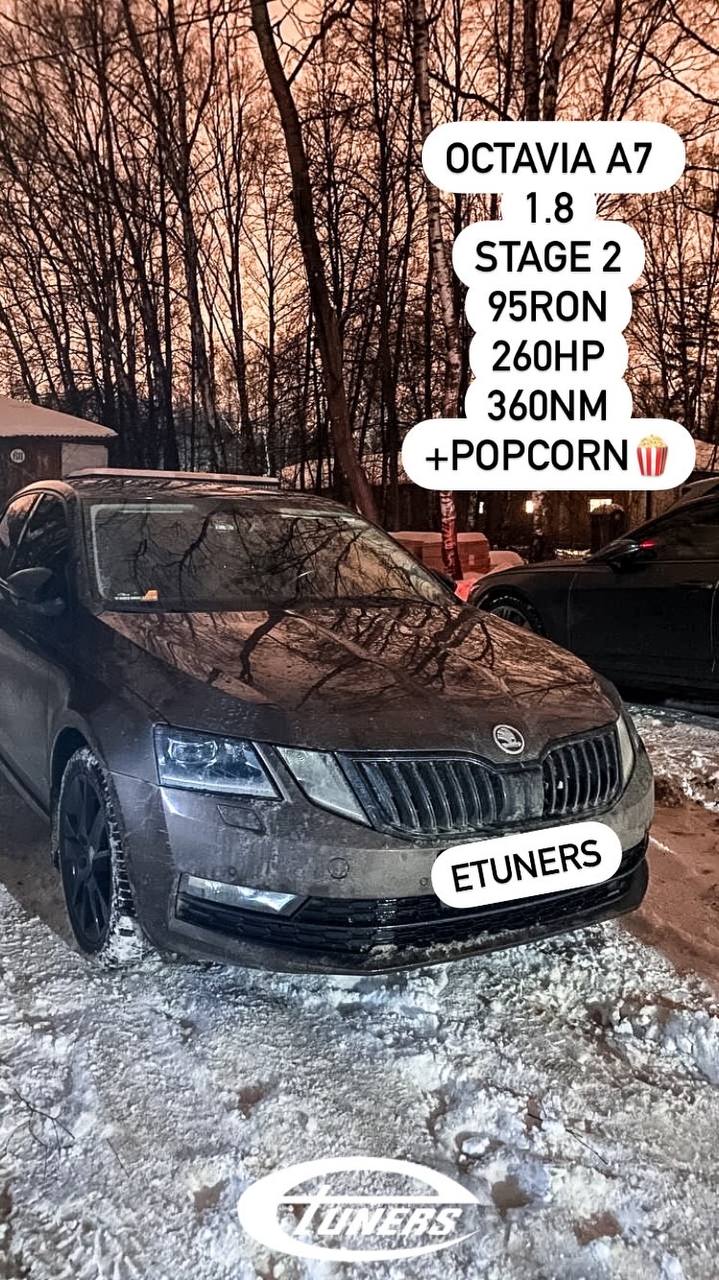Octavia A7 1.8 Stage 2: Increase in power and torque