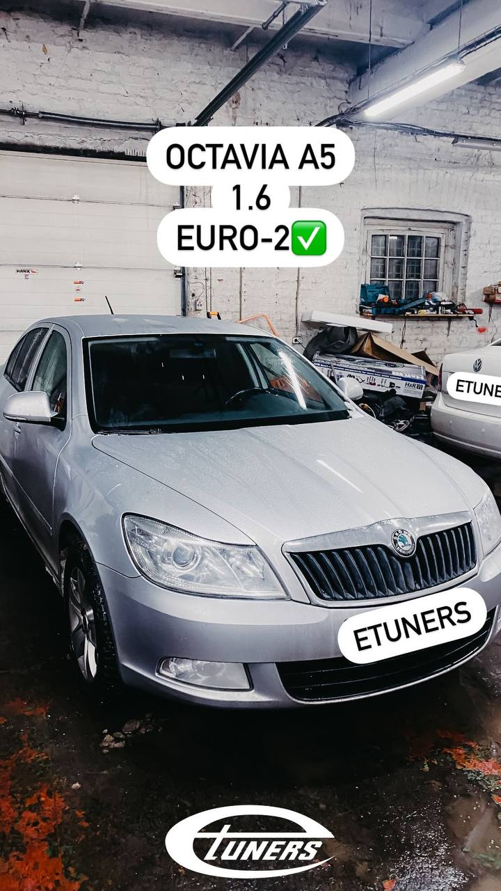 Chip tuning Skoda Octavia A5 1.6 Euro-2: performance improvement