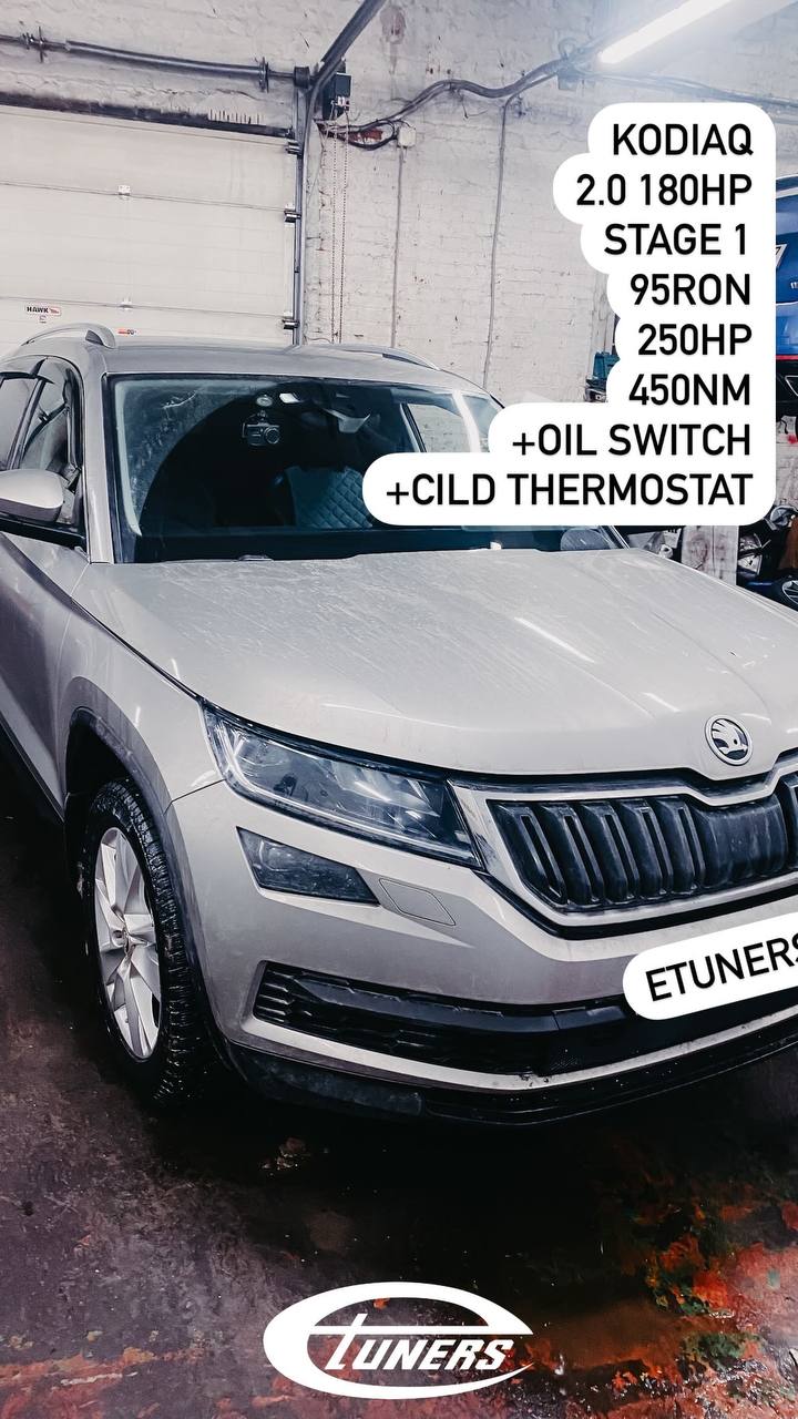 Skoda Kodiaq 2.0 Stage 1: +20 hp and improved dynamics