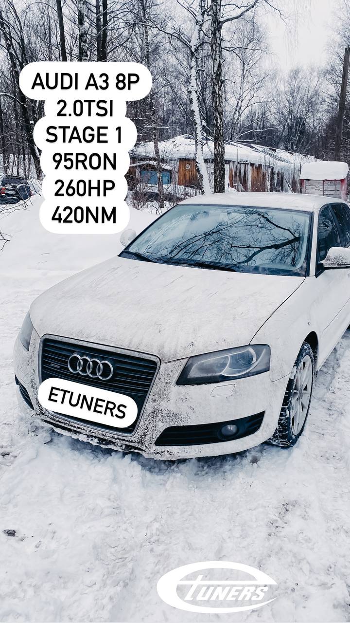Audi A3 8P 2.0 TSI Stage 1: Increase in power and torque