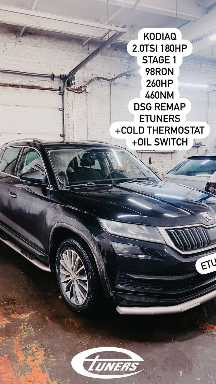 Kodiaq 2.0 TSI Stage 1: +30 hp for a powerful start