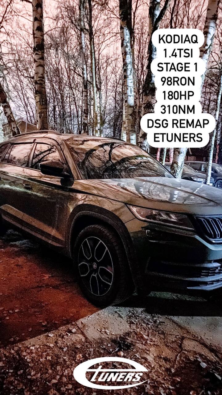 Škoda Kodiaq 1.4 TSI Stage 1: Increase in power to 150 hp.