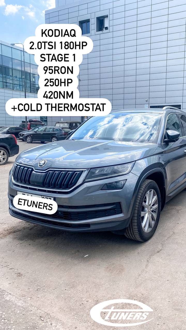 Skoda Kodiaq 2.0 TSI Stage 1: +30 hp performance improvements