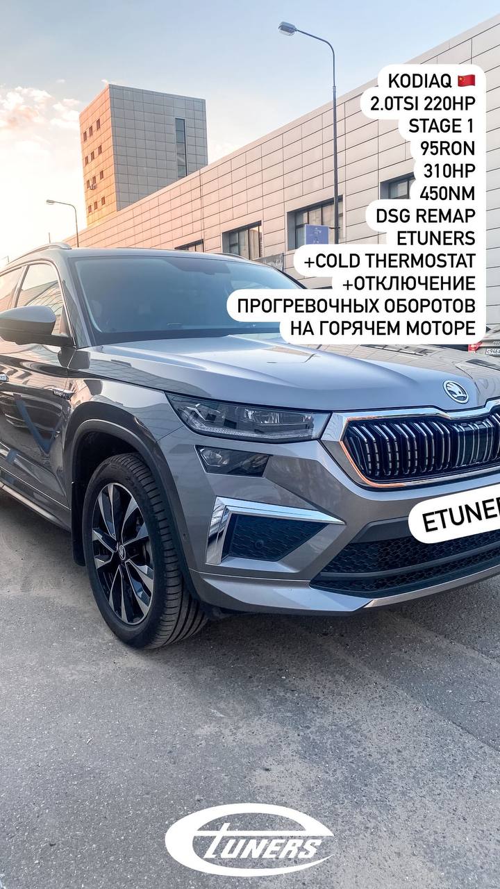 Kodiaq 2.0 TSI 220 hp Stage 1: Increase the power!