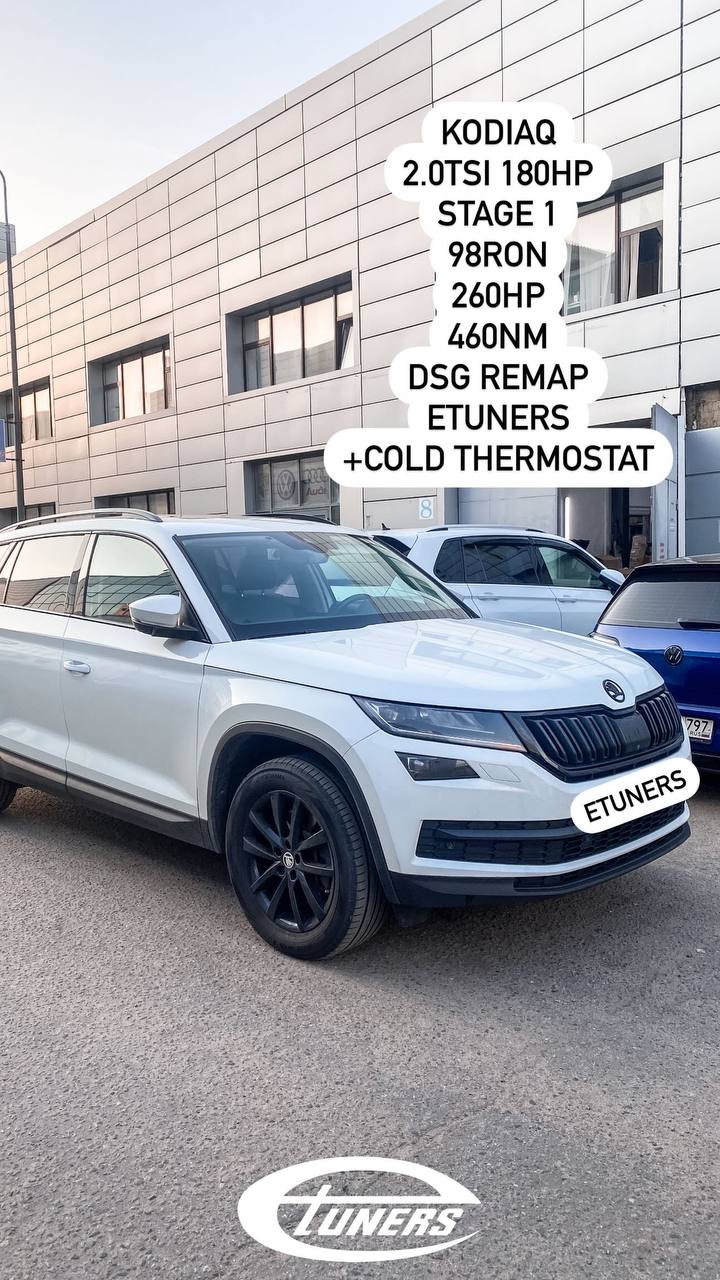 Kodiaq 2.0 TSI 180 hp Stage 1: Increase the power!