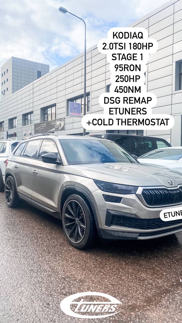 Kodiaq 2.0 TSI Stage 1: +30 hp for powerful driving