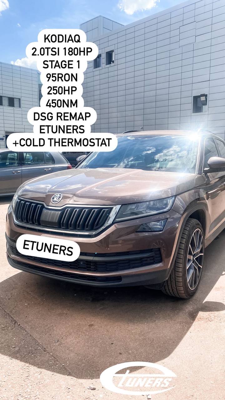 Skoda Kodiaq 2.0 TSI Stage 1: +30 hp for powerful driving