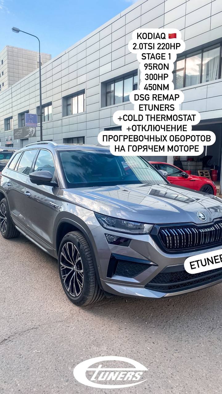 Skoda Kodiaq 2.0 TSI Stage 1: +40 hp and +60 Nm