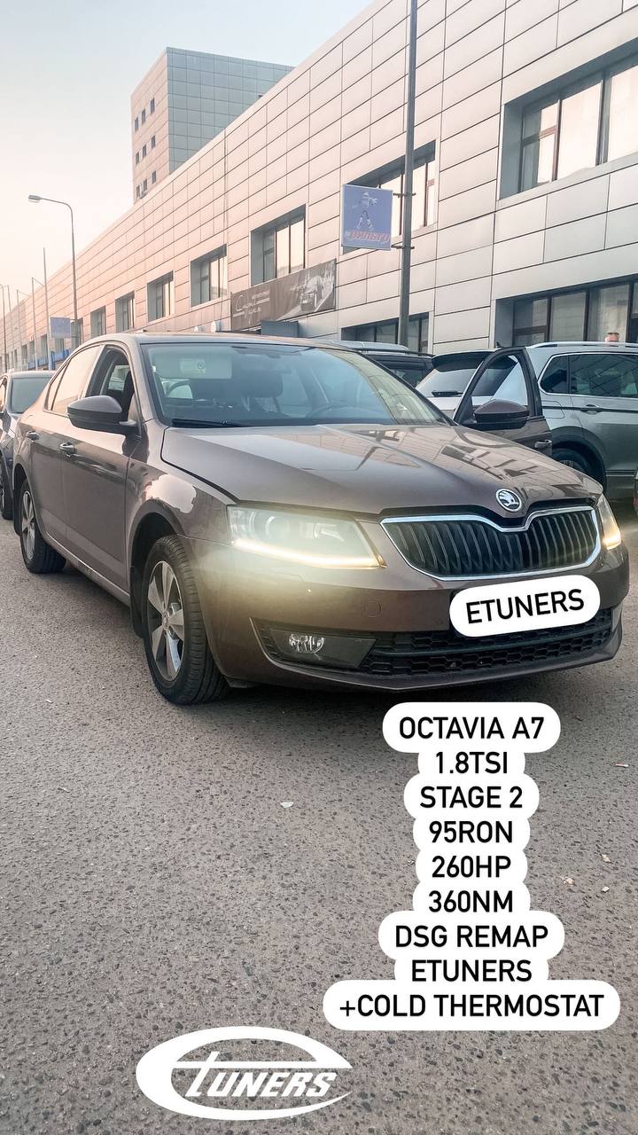 Skoda Octavia A7 1.8 TSI Stage 2: Maximum power!