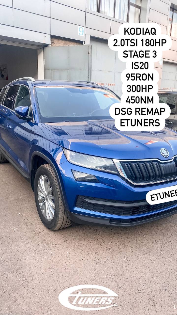 Skoda Kodiaq 2.0 TSI: +180 hp on IS20