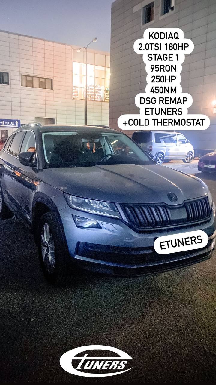 Skoda Kodiaq 2.0 TSI Stage 1: +20 hp and +40 Nm
