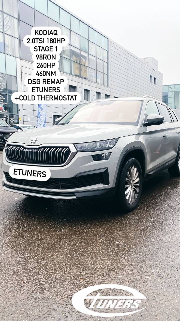 Škoda Kodiaq 2.0 TSI Stage 1: +30 hp and +50 Nm