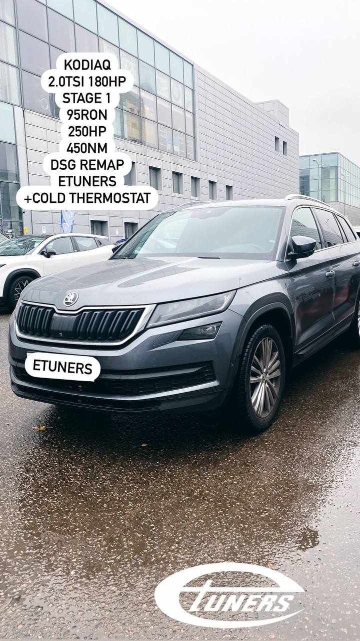 Kodiaq 2.0 TSI 180 hp Stage 1: Power increase!