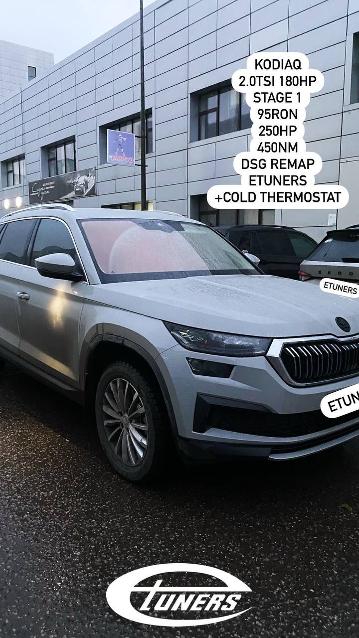Skoda Kodiaq 2.0 TSI Stage 1: +30 hp and improved torque