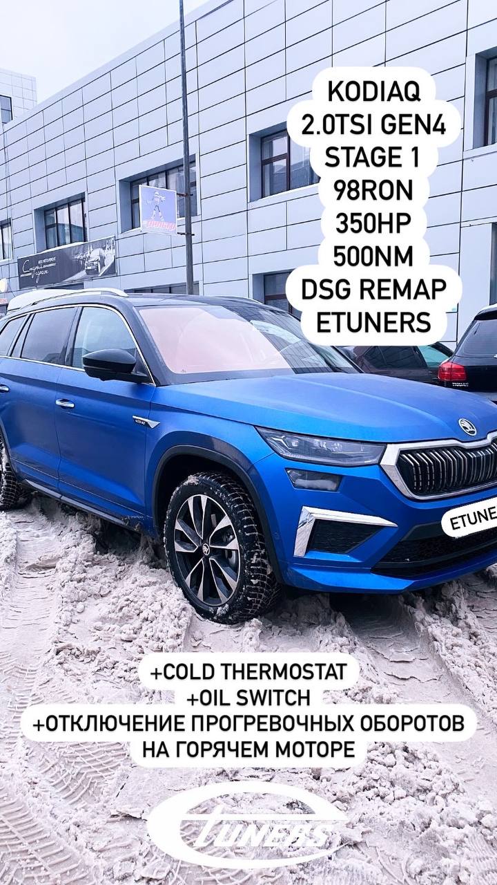 Skoda Kodiaq 2.0 TSI GEN4 Stage 1: Increase in power and torque