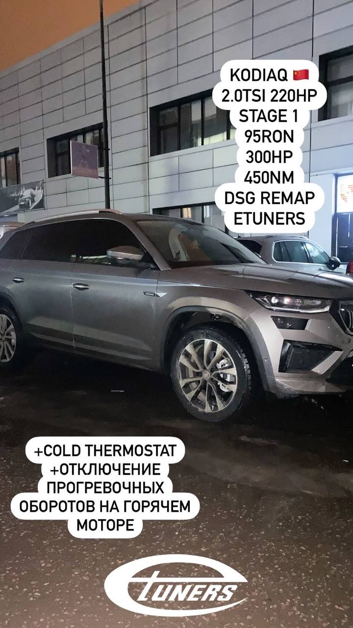 Skoda Kodiaq 2.0 TSI Stage 1: +20 hp and improved dynamics