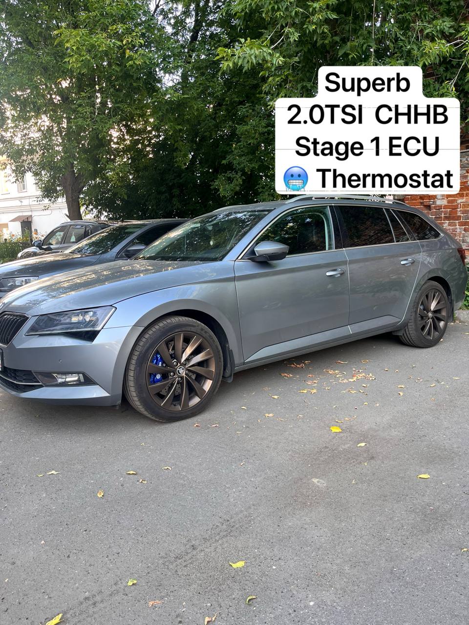 Skoda Superb 2.0 TSI Stage 1: +30 HP and +70 Nm of power