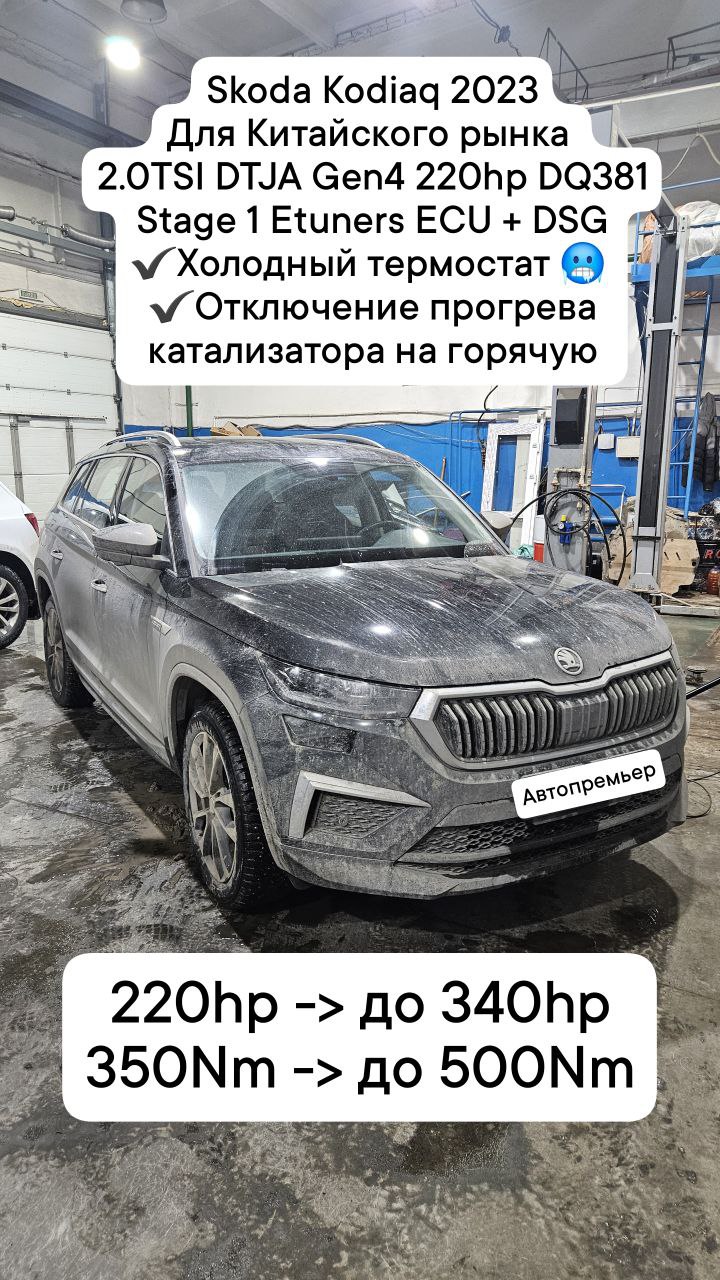 Skoda Kodiaq 2.0 TSI Stage 1: up to 340 hp and 500 Nm