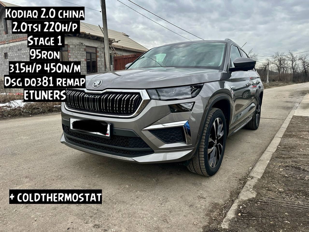 Skoda Kodiaq 2.0 TSI Stage 1: +95 hp and +100 Nm